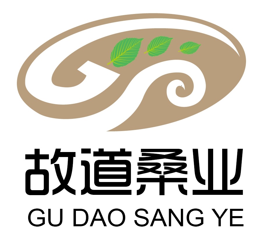 喝茶就可以防脫生發(fā)，太神奇了！桑葉養(yǎng)生茶