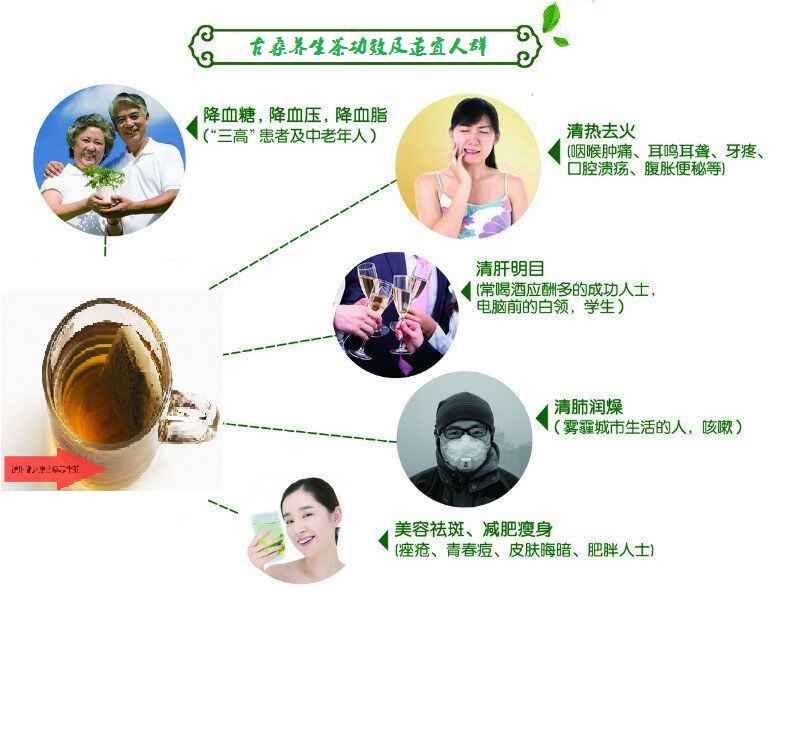 桑葉茶，營養(yǎng)長壽健康之茶
