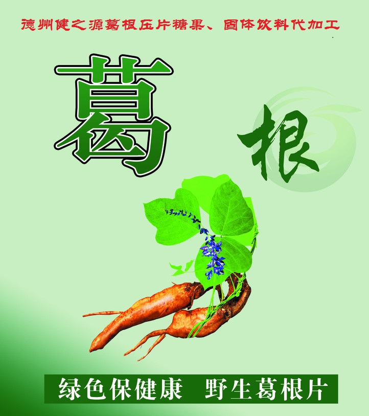 葛根，男女通用的人體調(diào)理專家