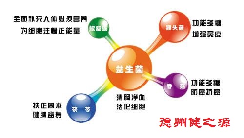 夏天腸胃問題頻發(fā)，您應(yīng)該用益生菌了
